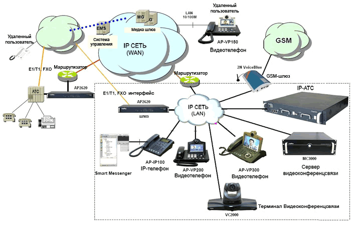    IP- 